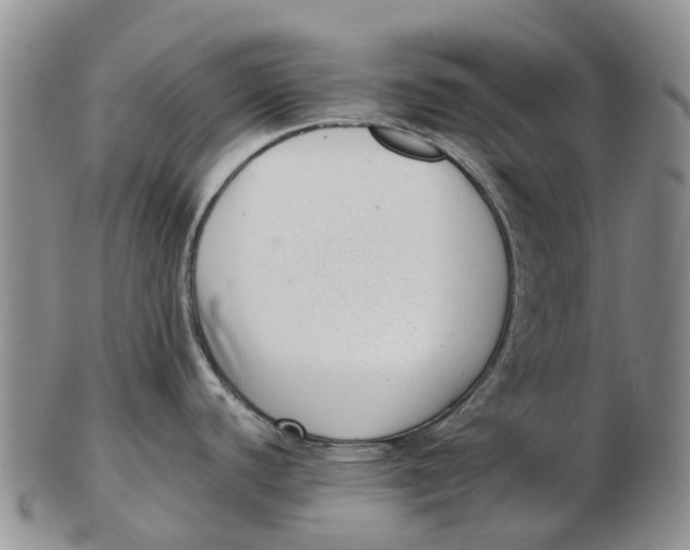 X0000102801440200809081102