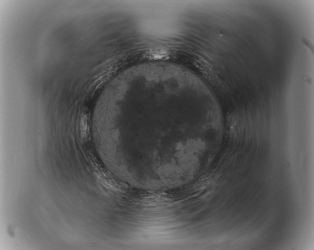 X0000102801442200809081102