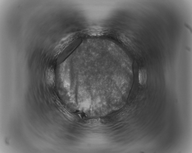 X0000102801444200809081102