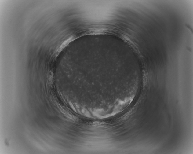 X0000102801449200809081102