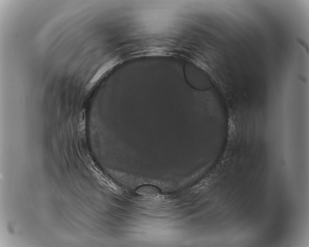 X0000102801450200809081101