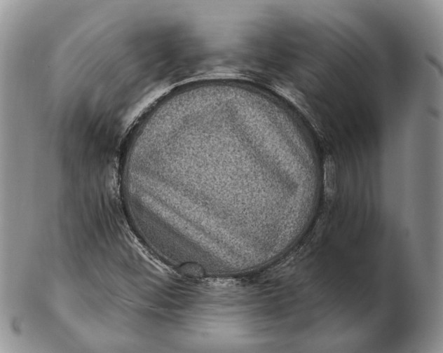 X0000102801452200809081101