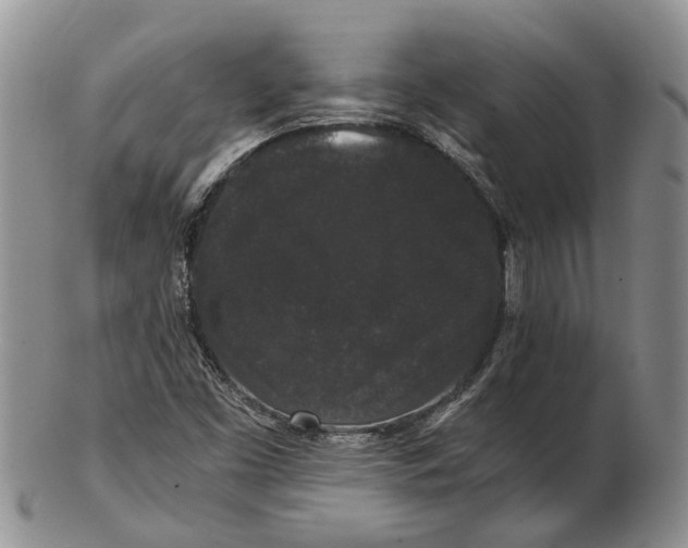 X0000102801453200809081101