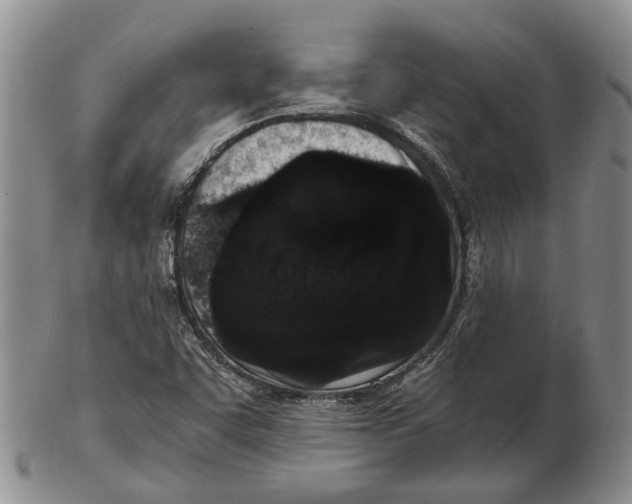 X0000102801455200809081101