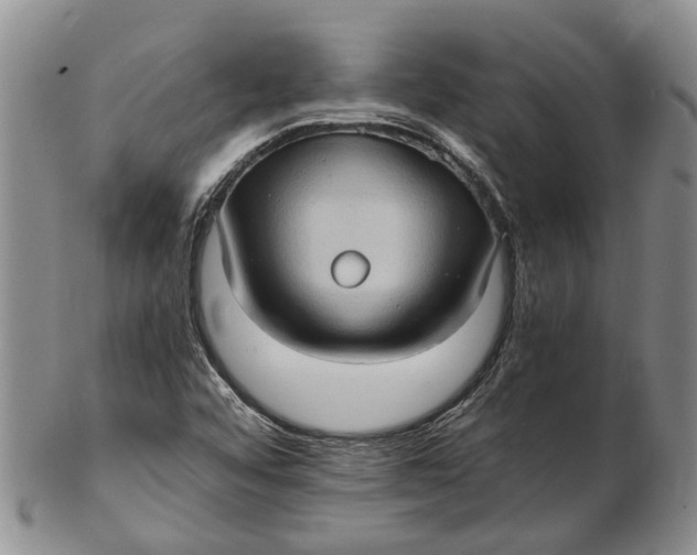 X0000102801456200809081101