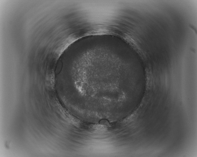 X0000102801457200809081101