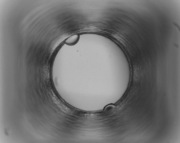 X0000102801458200809081101