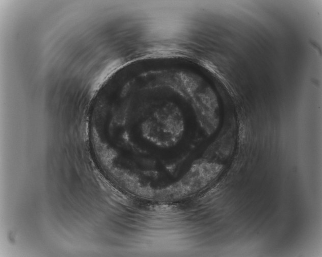 X0000102801459200809081101