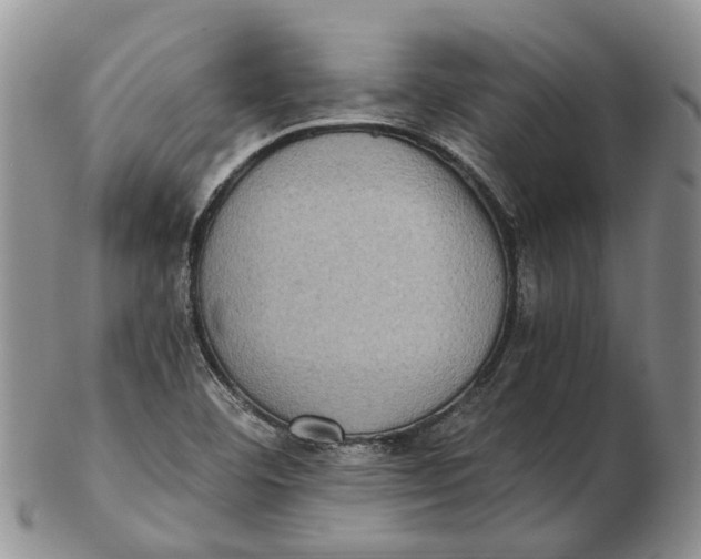 X0000102801460200809081101