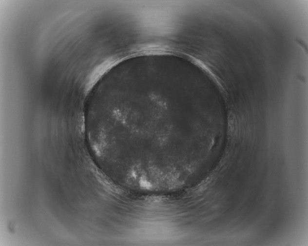 X0000102801461200809081101