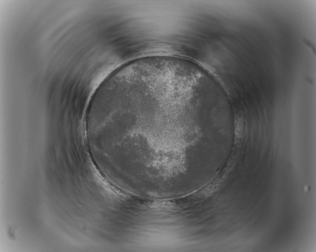 X0000102801466200809081101