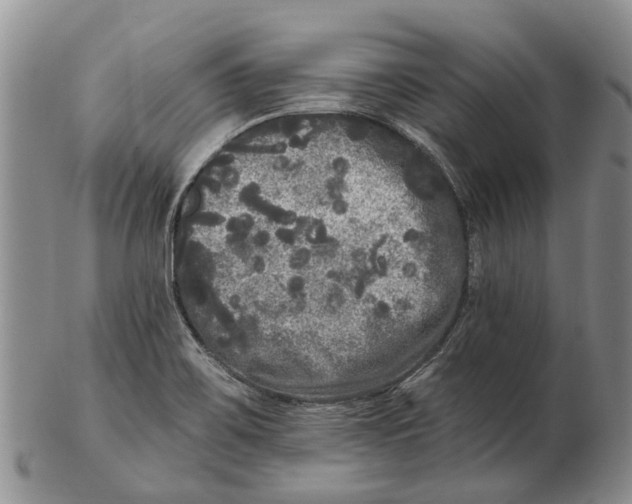 X0000102801467200809081101