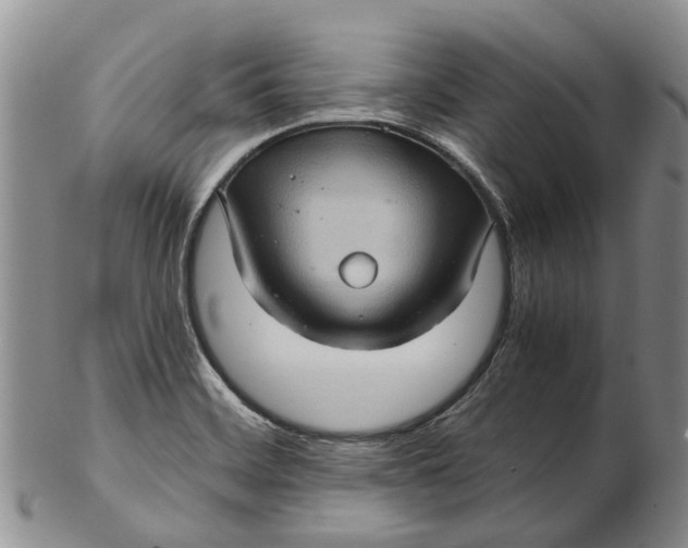 X0000102801468200809081101