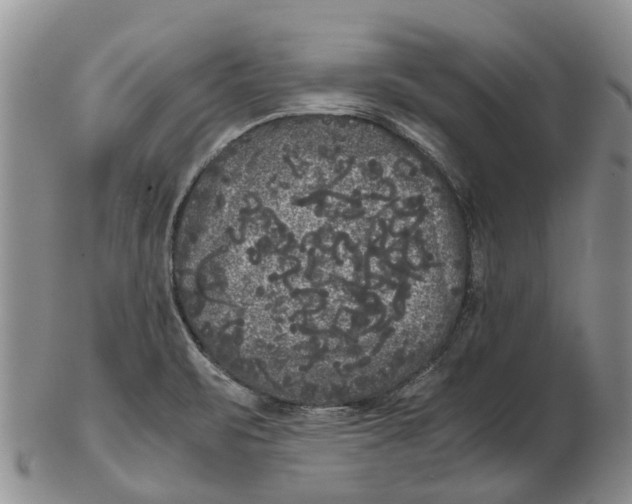 X0000102801471200809081101