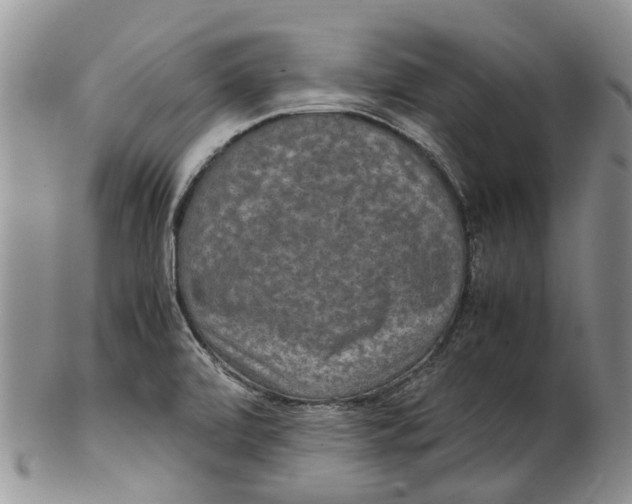 X0000102801472200809081101