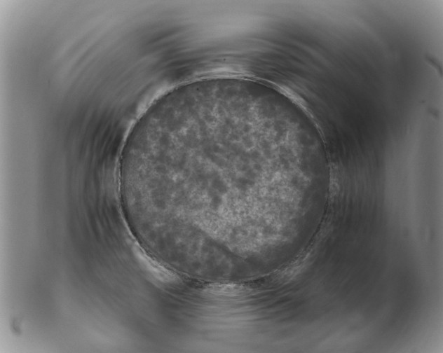 X0000102801474200809081101