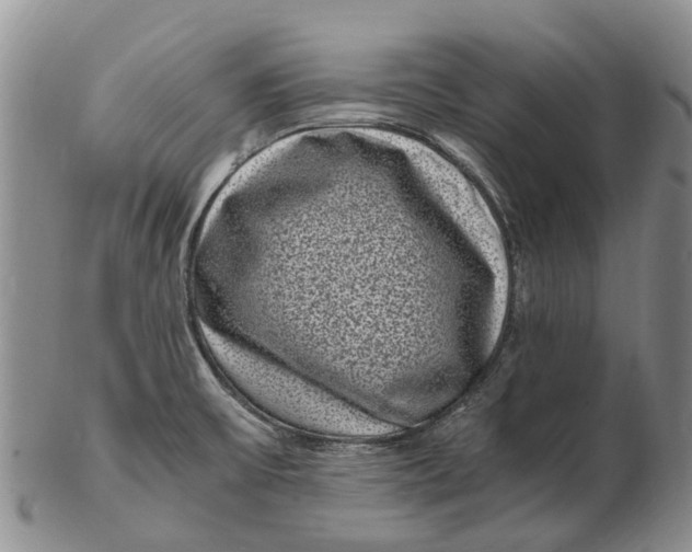 X0000102801475200809081101