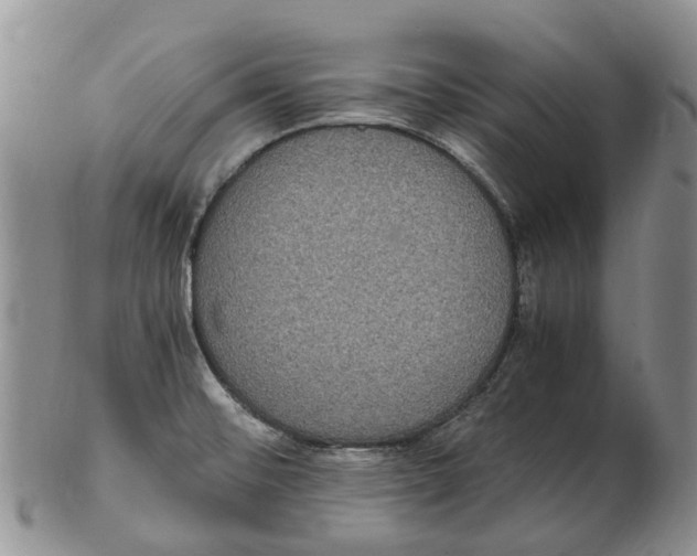 X0000102801476200809081101