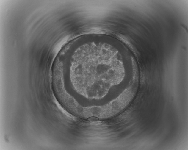 X0000102801479200809081101