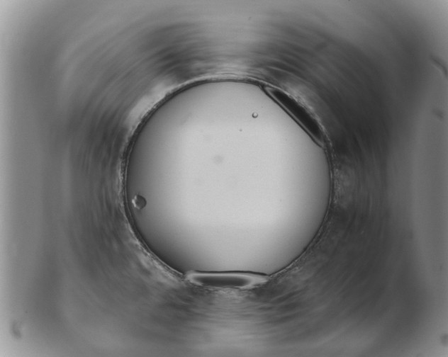 X0000102801480200809081101