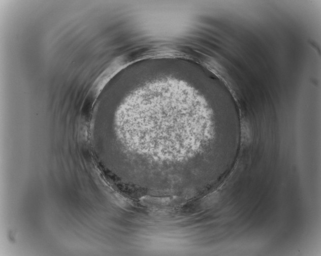 X0000102801481200809081101