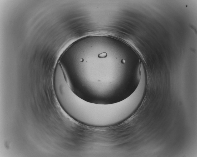 X0000102801484200809081101