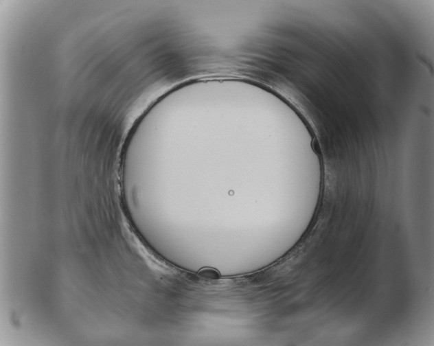 X0000102801485200809081101