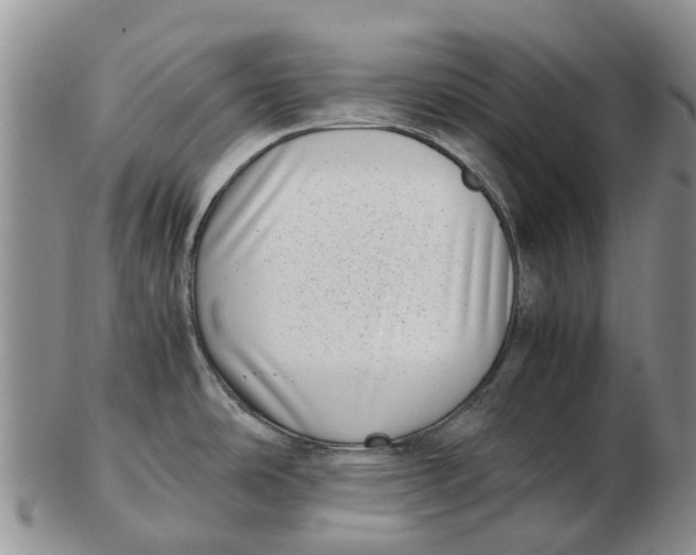 X0000102801486200809081101