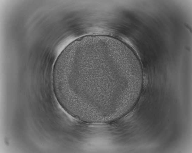 X0000102801487200809081101