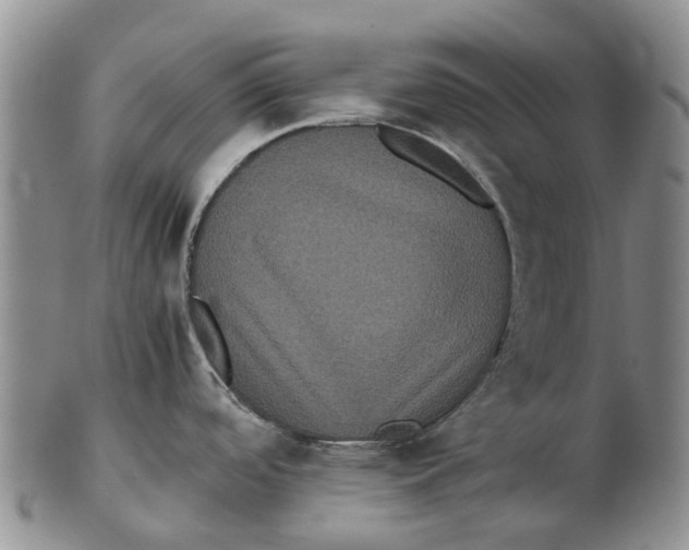 X0000102801488200809081101