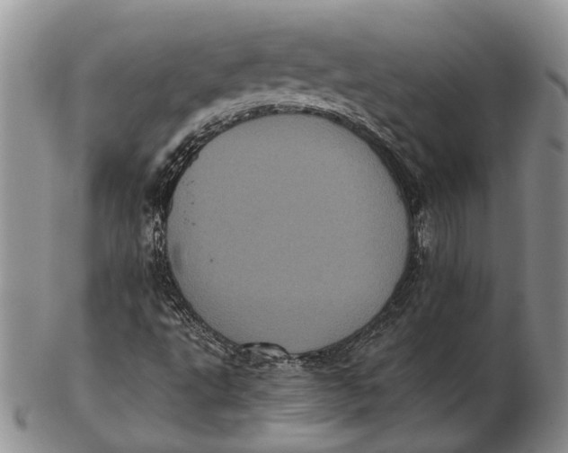 X0000102801495200809081100