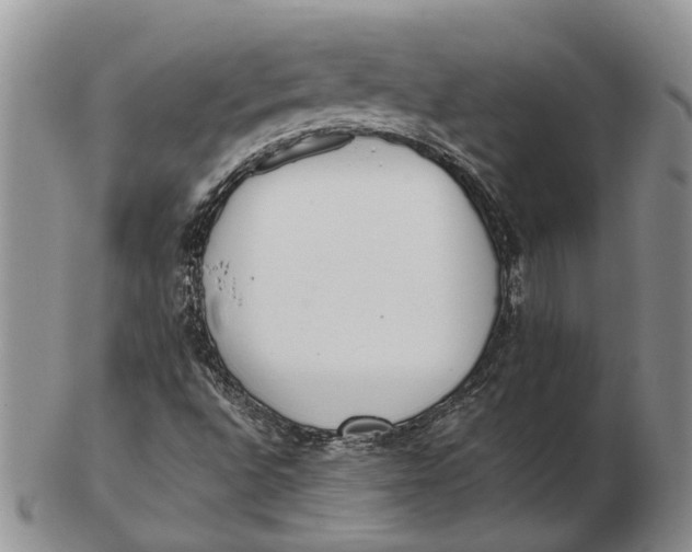 X0000102801496200809081100