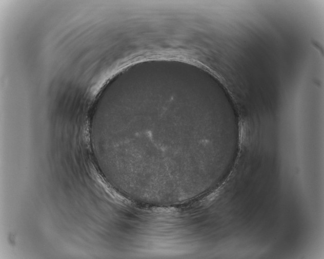 X0000102801498200809081100