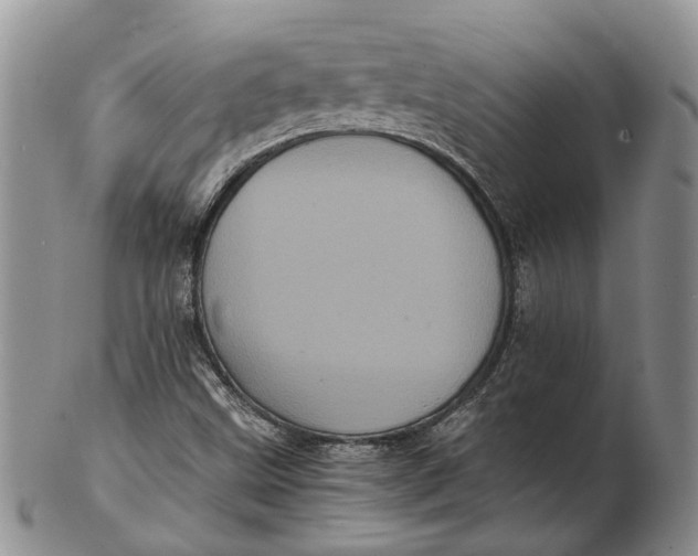 X0000102801499200809081100