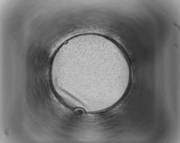 X0000102801500200809081100