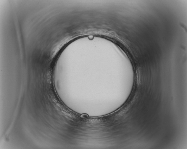 X0000102801501200809081100