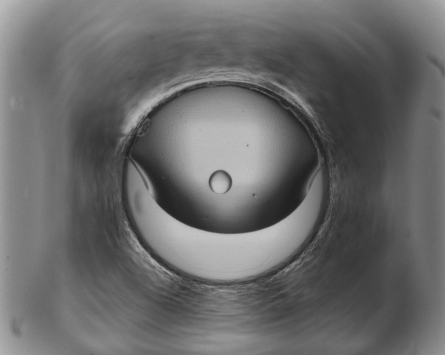 X0000102801504200809081100