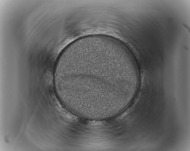 X0000102801505200809081100