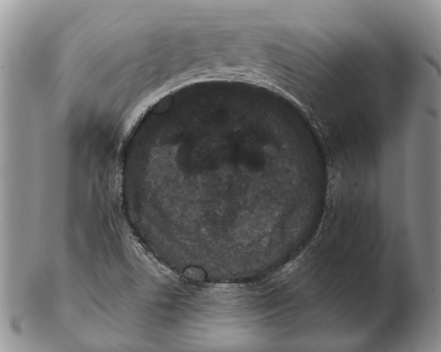 X0000102801506200809081100