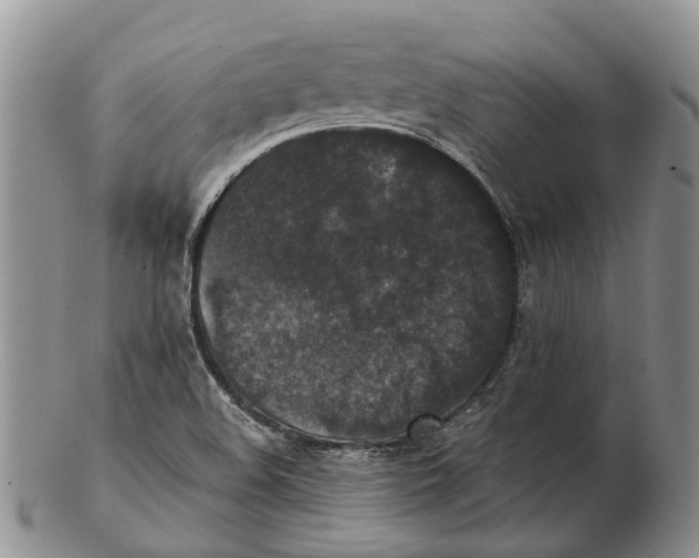 X0000102801508200809081100