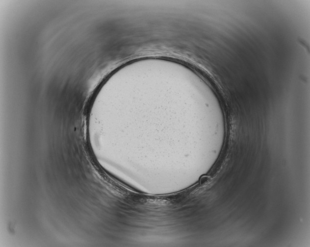 X0000102801509200809081100