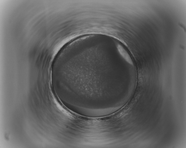 X0000102801515200809081100