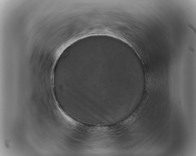 X0000102801519200809081101