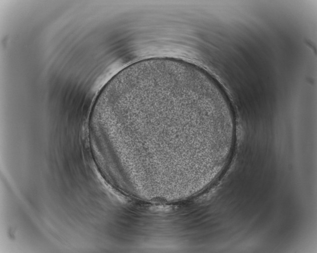 X0000102801521200809081101