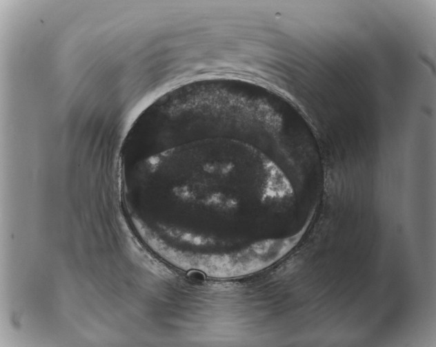 X0000102801522200809081101