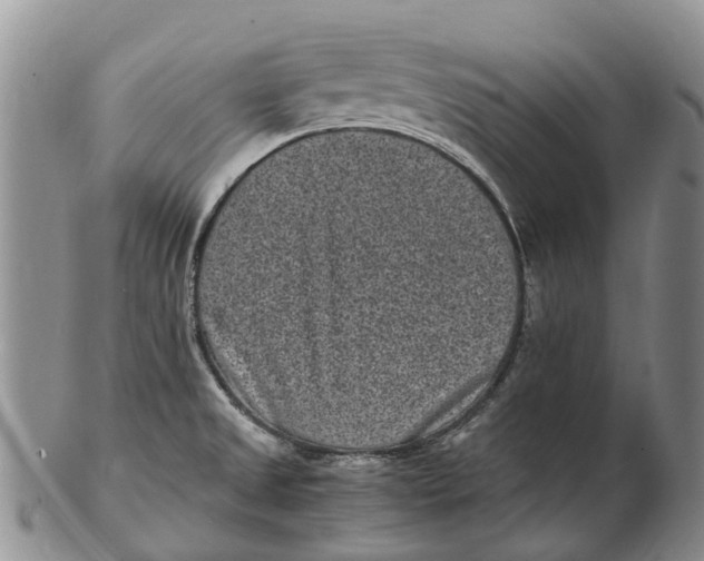 X0000102801525200809081101