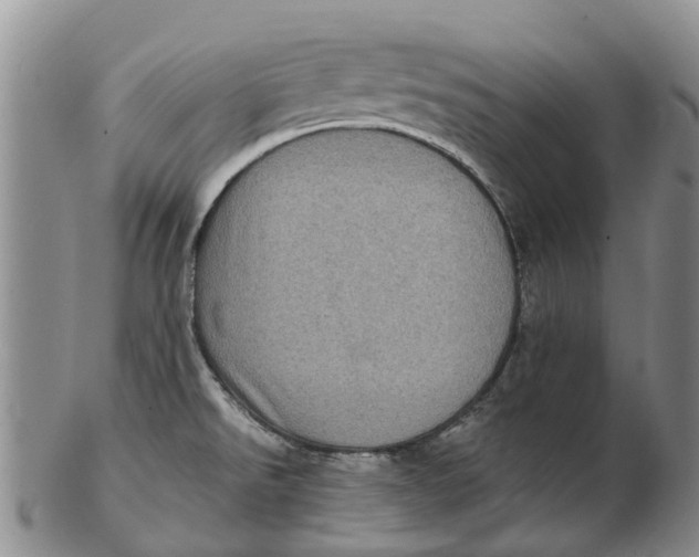 X0000102801526200809081101