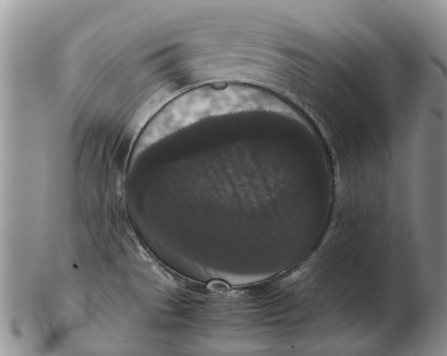 X0000102801529200809081101