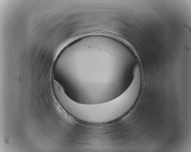 X0000102801530200809081101