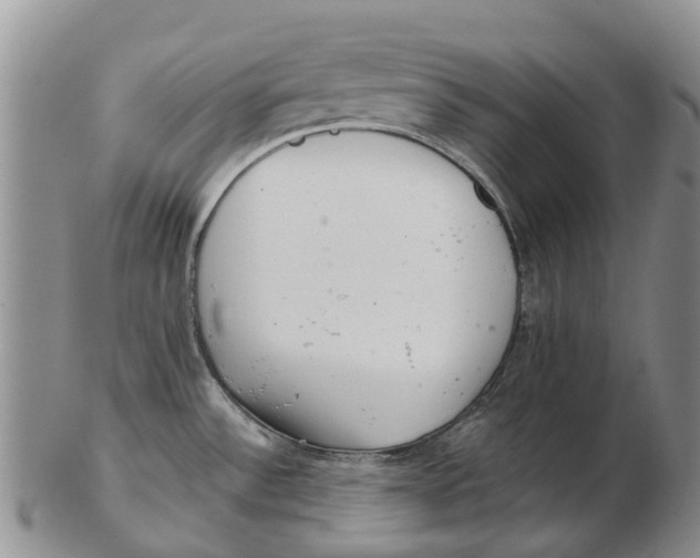 X0000102801532200809081101